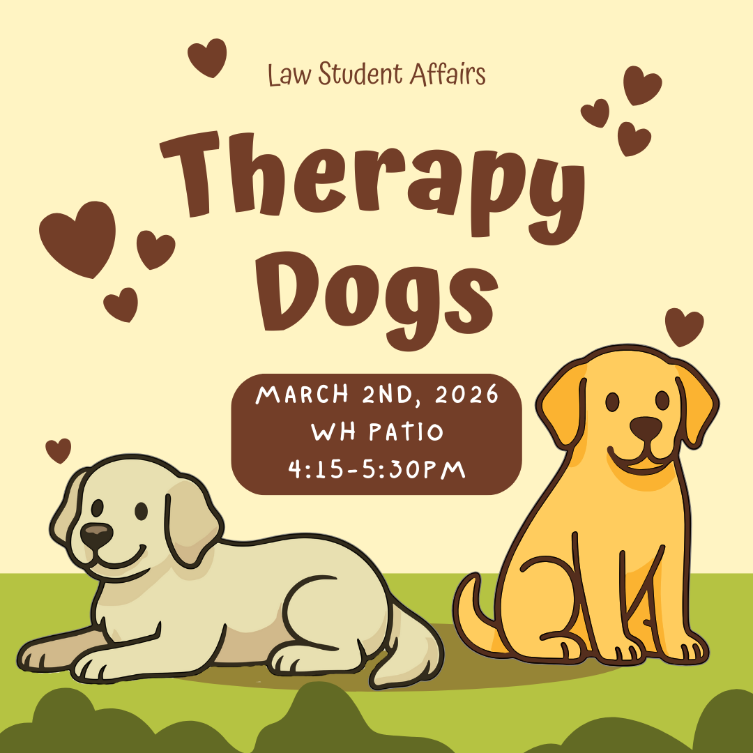 Therapy Dogs