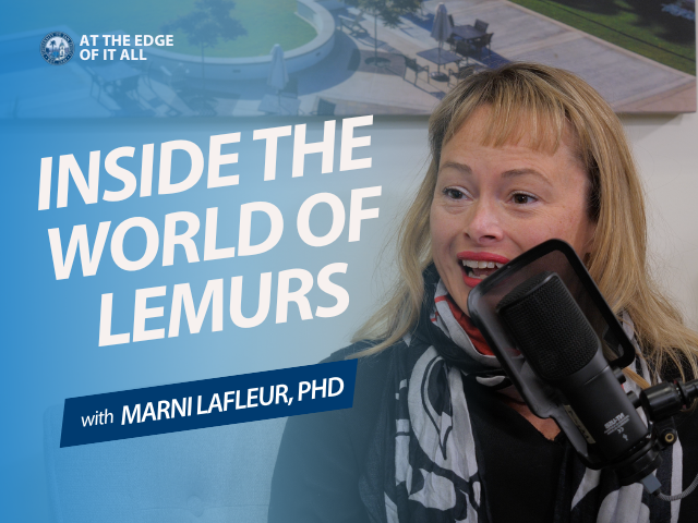 Inside the World of Lemurs with Marni LaFleur, PhD