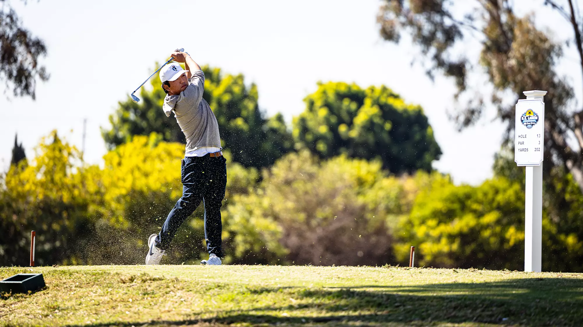Golfer 