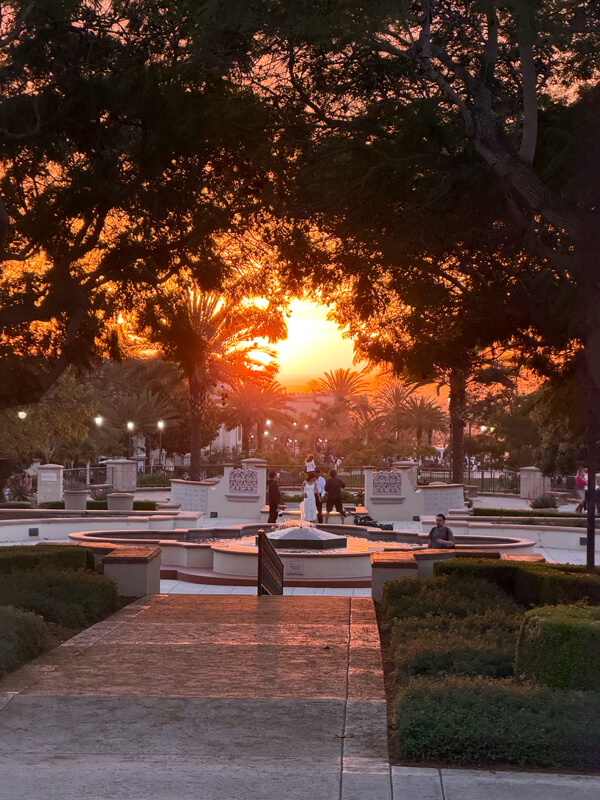 sunset on campus