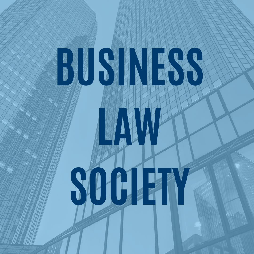 Business Litigation Panel