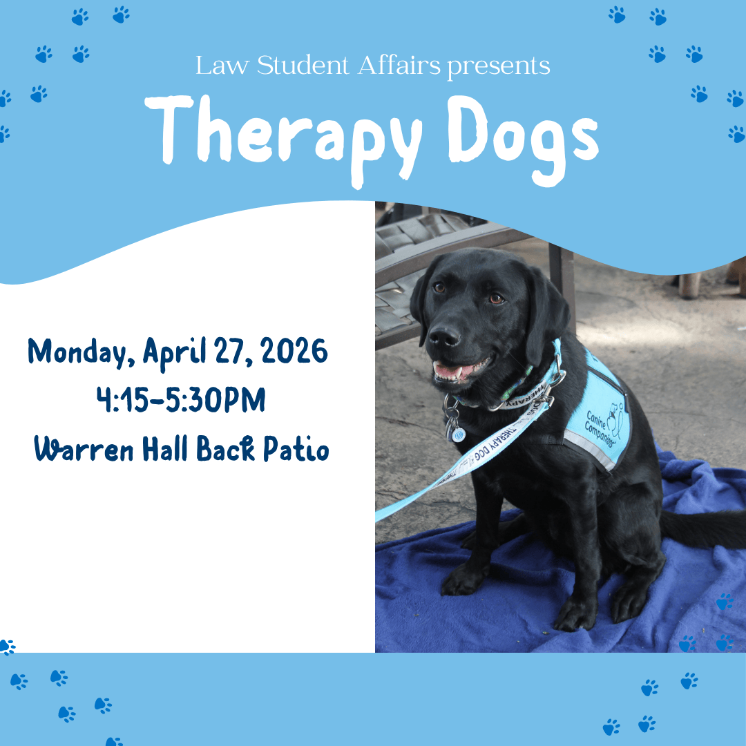 Therapy Dogs