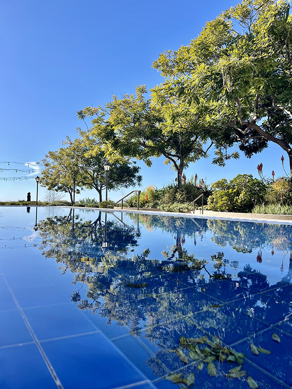 water reflection