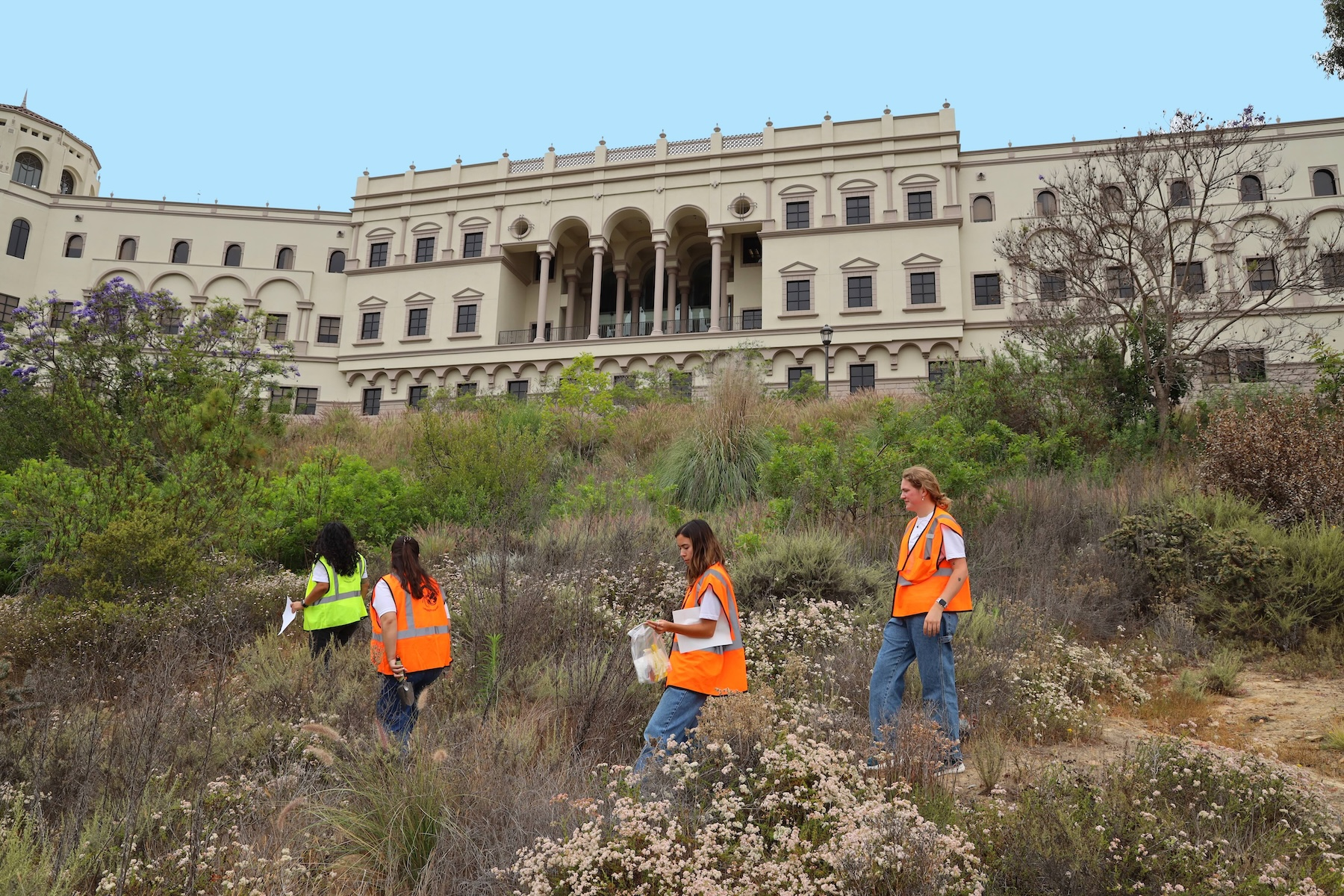 One professor and three students in safety vests outside of the Donald P. Shiley Center for Science and Technology walking around collecting soil samples.