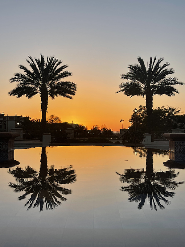sunset with palm trees