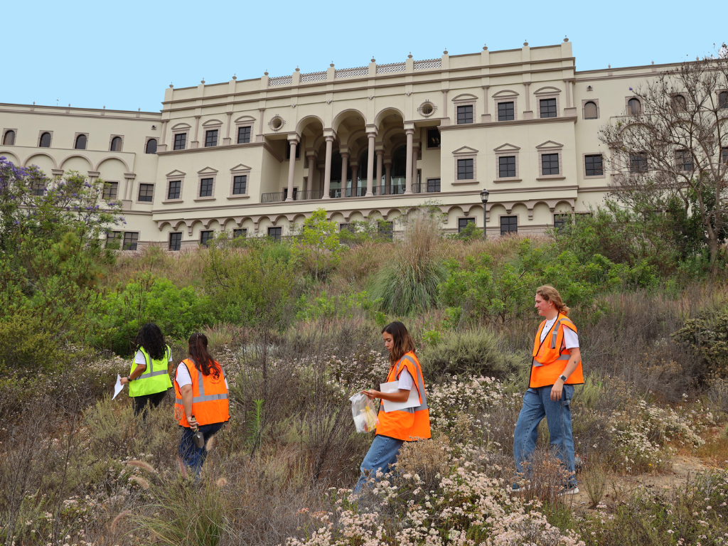 One professor and three students in safety vests outside of the Donald P. Shiley Center for Science and Technology walking around collecting soil samples.