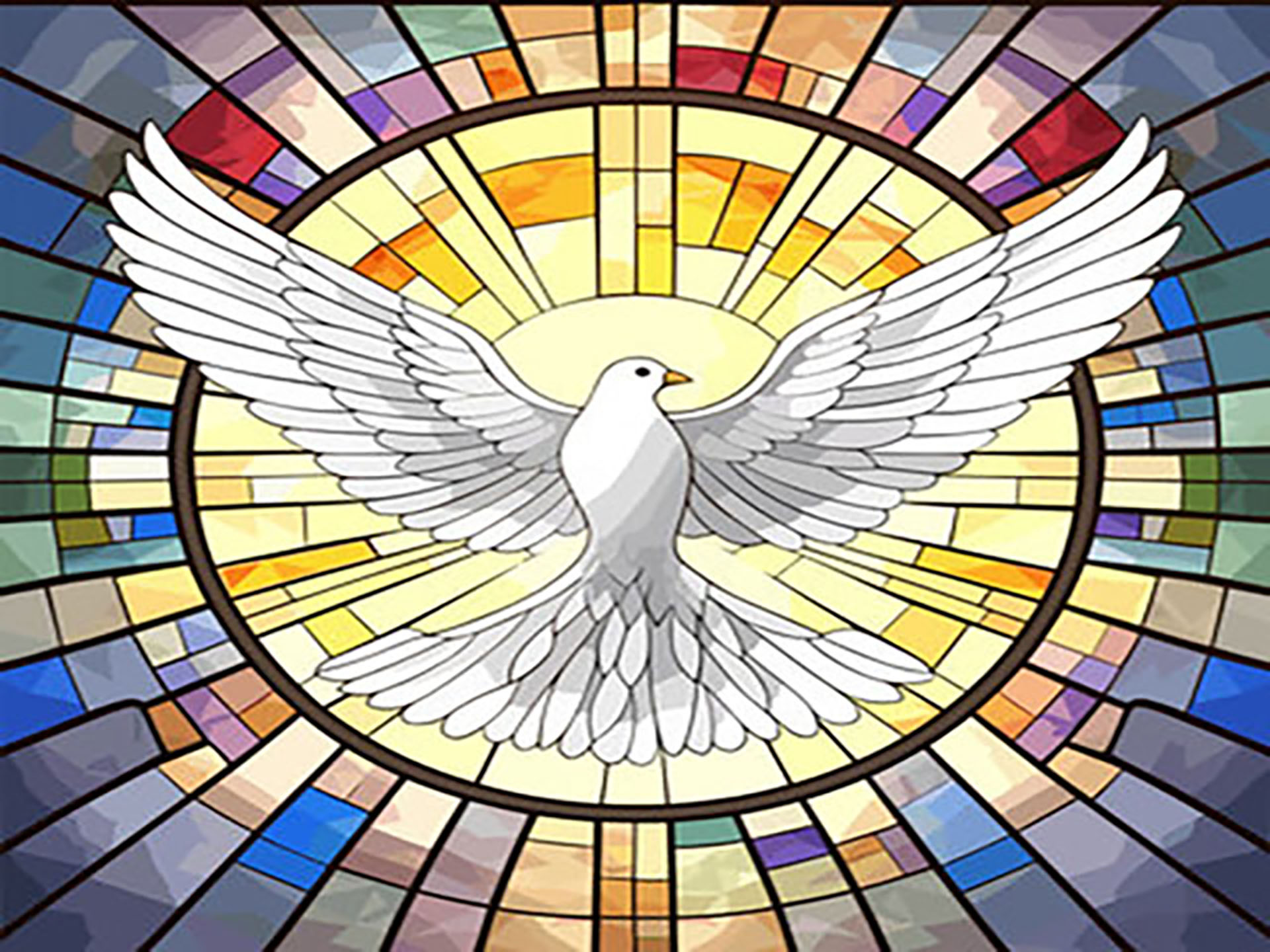 Dove of peace