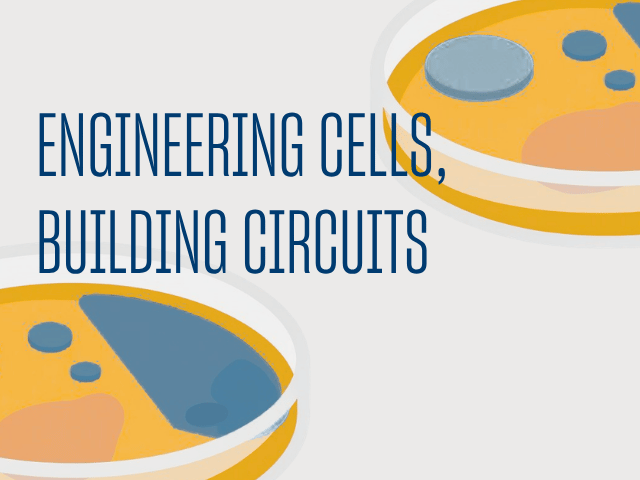 On the top right and bottom left sides are cartoon versions of petri dishes in yellow and blue. The top left is the title of the talk in blue font, "Engineering Cells, Building Circuits."