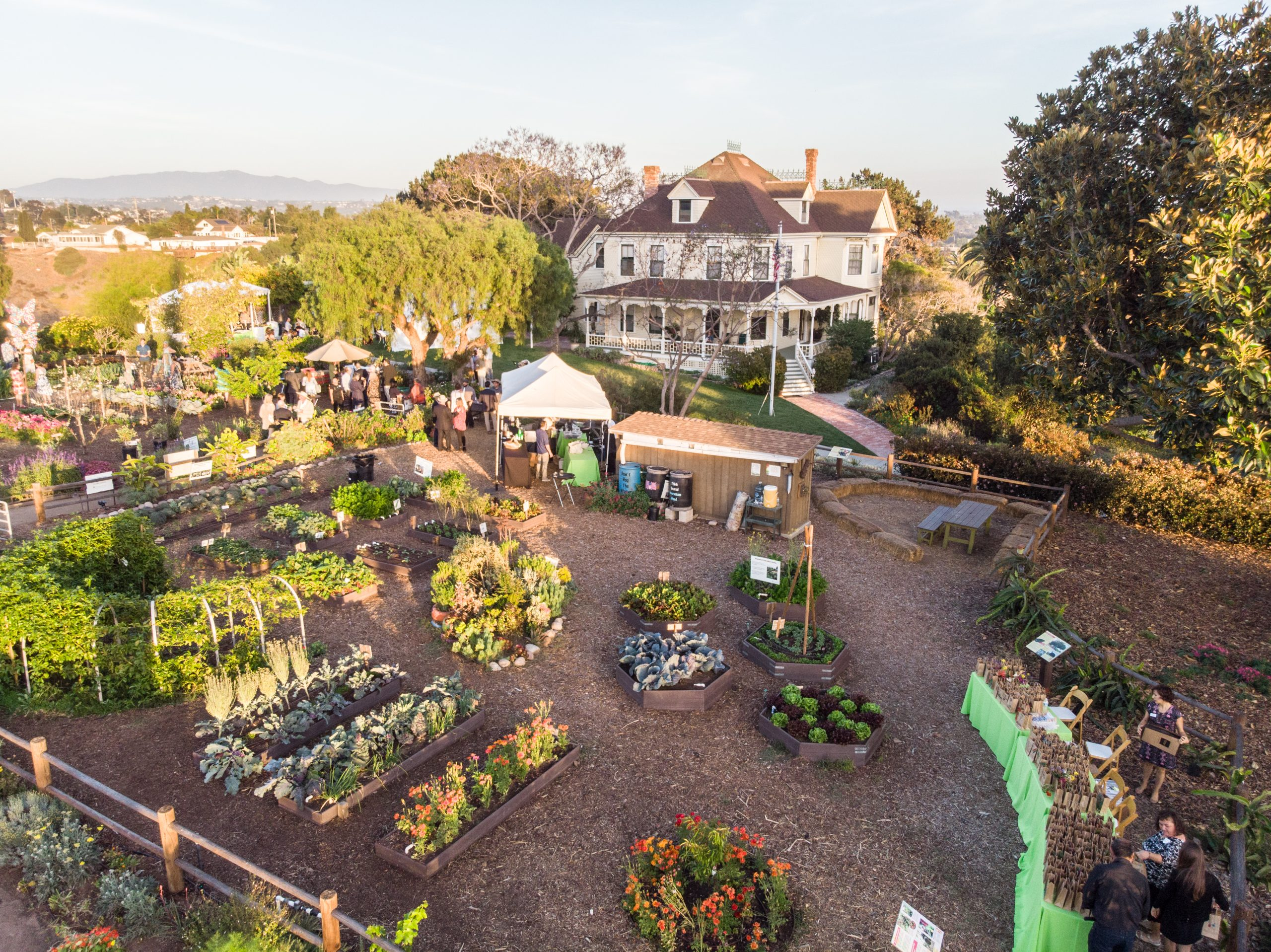 Olivewood Gardens