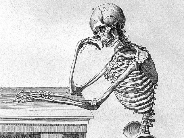 A human skeleton, from the waist up, leaning against a plinth. The left arm is outstretched, the right elbow is bent with their head in their right hand.