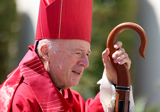 Cardinal McElroy